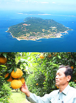 (上)上空からの能古島、(下)みかんを見上げる久保田さん